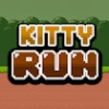 kitty run